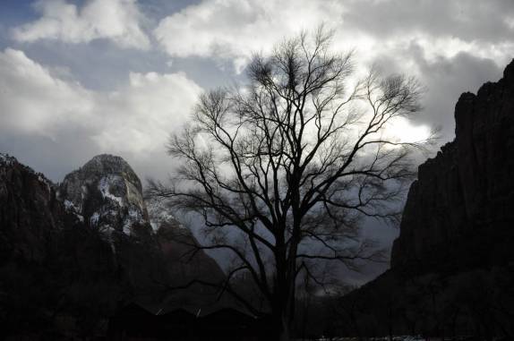 Dia frio e nublado no magnífico Zion National Park, em Utah, nos Estados Unidos